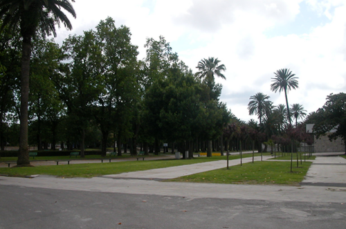 area-fontana-napoli